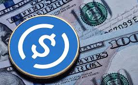 JPMorgan sees yield-bearing stablecoins growing from 6% to 50% of market share