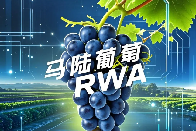 详细解读国内首支RWA项目马陆葡萄