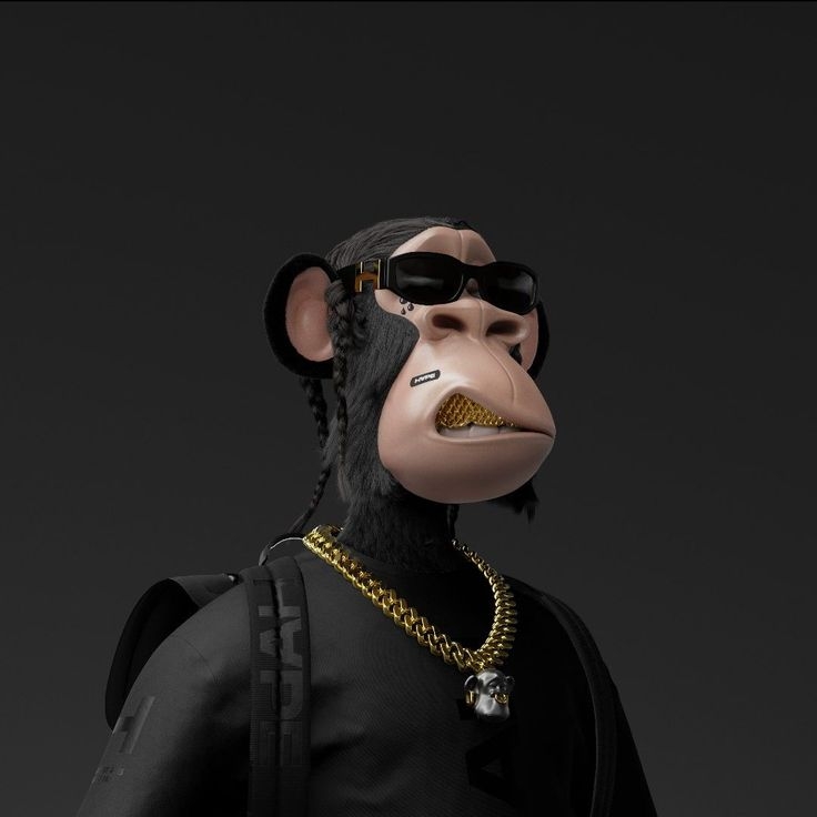 Picture of the author