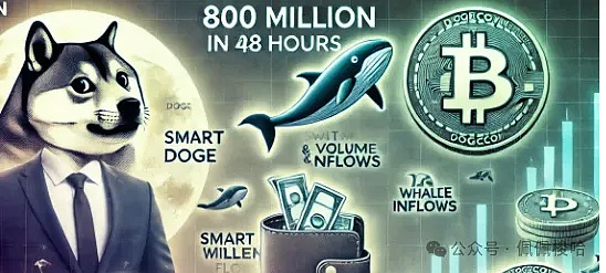 狗狗币巨鲸 48 小时内买入 8 亿 DOGE——聪明钱还是牛市陷阱