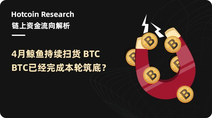Hotcoin Research | 链上资金流向解析：4 月鲸鱼持续扫货 BTC，BTC 已经完成本轮筑底？