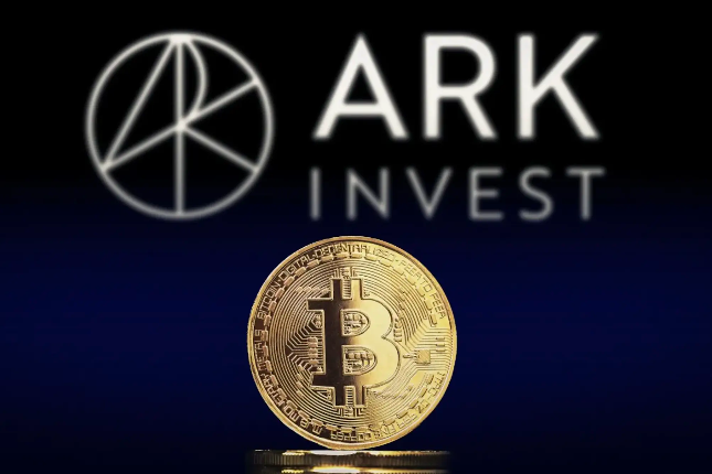 Ark Invest公布比特币估值模型:2030年BTC单枚50万美元起步