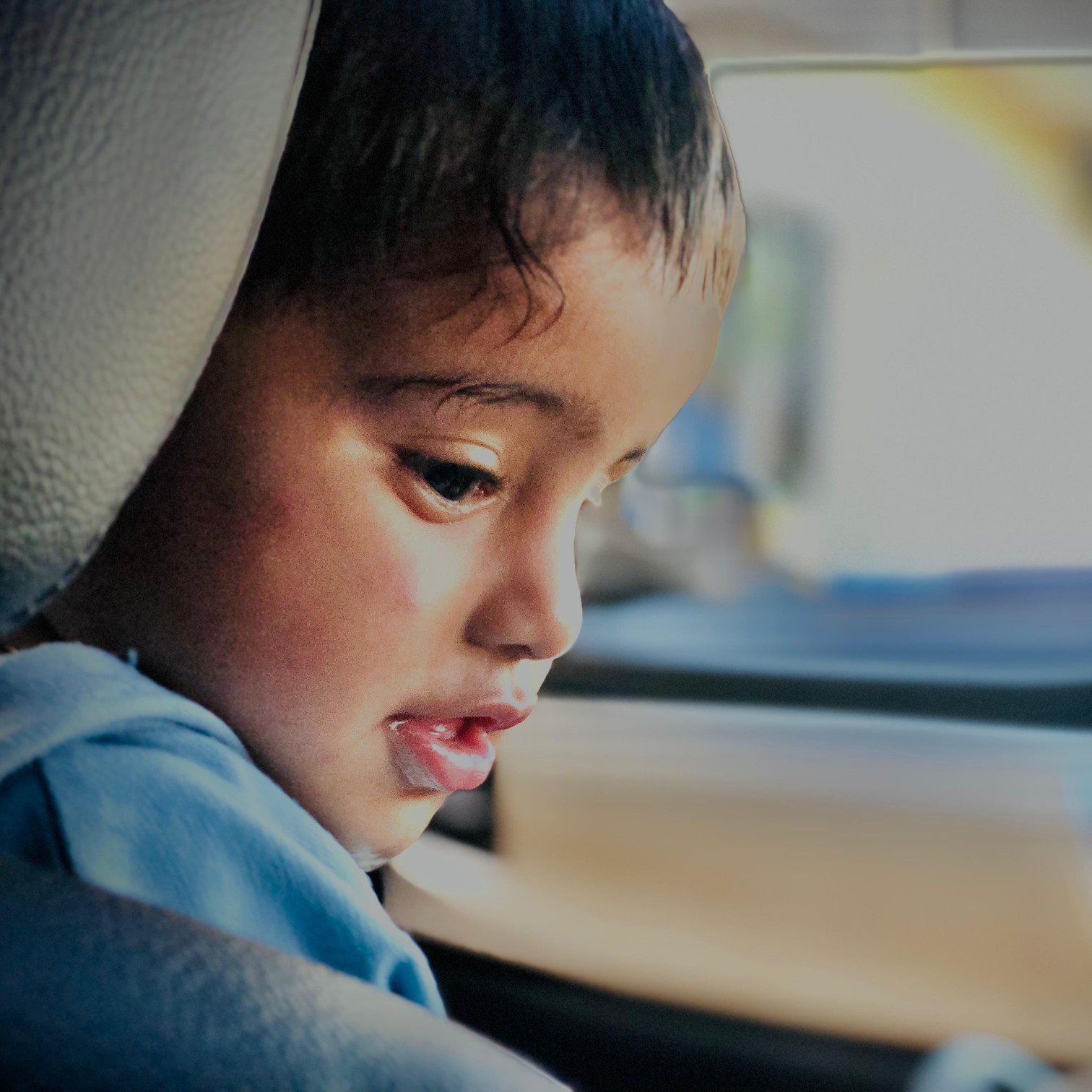 Picture of the author