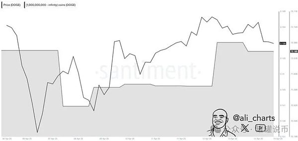 鲸鱼疯狂扫货8亿DOGE 聪明钱还是牛市陷阱？