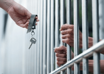 Controversial Ethereum Developer Freed Before Full Sentence