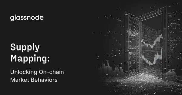 Supply Mapping: Unlocking On-chain Market Behaviors