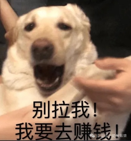 比特币止跌暴涨？CZ喊单BSC链 Cake单日暴涨超60% 公链ton反弹 创始人被释放