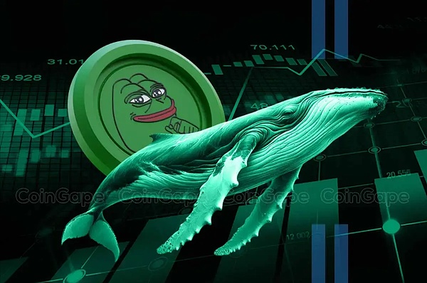 Pepe Coin 鲸鱼将焦点转向此加密货币 出售 2620 亿 PEPE