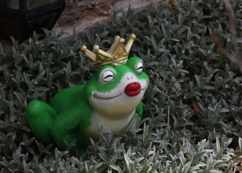 PEPE Price Confirms Phoenix Rising Pattern That Triggers 70% Surge