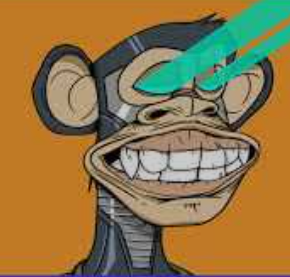 Picture of the author