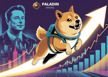 Dogecoin Price Analysis Expected to Reach $0.3 Within This Week, Whales Earn $37,777 Daily Through PaladinMining