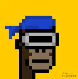 Picture of the author