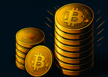 50% Of All Bitcoin Will Be Controlled By Corporates By 2045: Expert