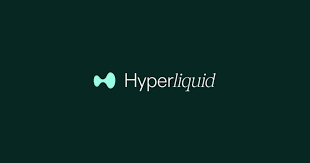 HYPE 价格屡创新高 Hyperliquid 生态全景速览