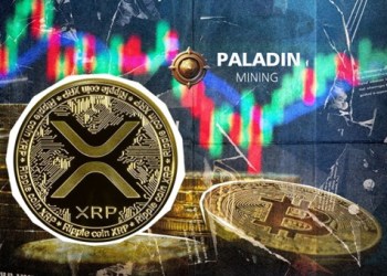 Crypto Enthusiast Makes $5180 a Day by Starting a Bitcoin Miner Using Ripple (XRP)