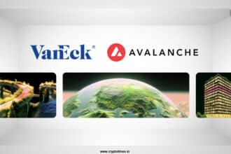 VanEck Backs Avalanche Startups With New PurposeBuilt Fund