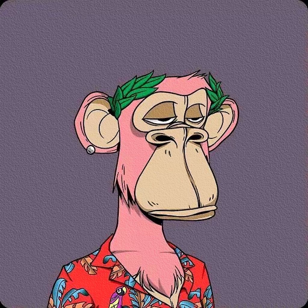 Picture of the author