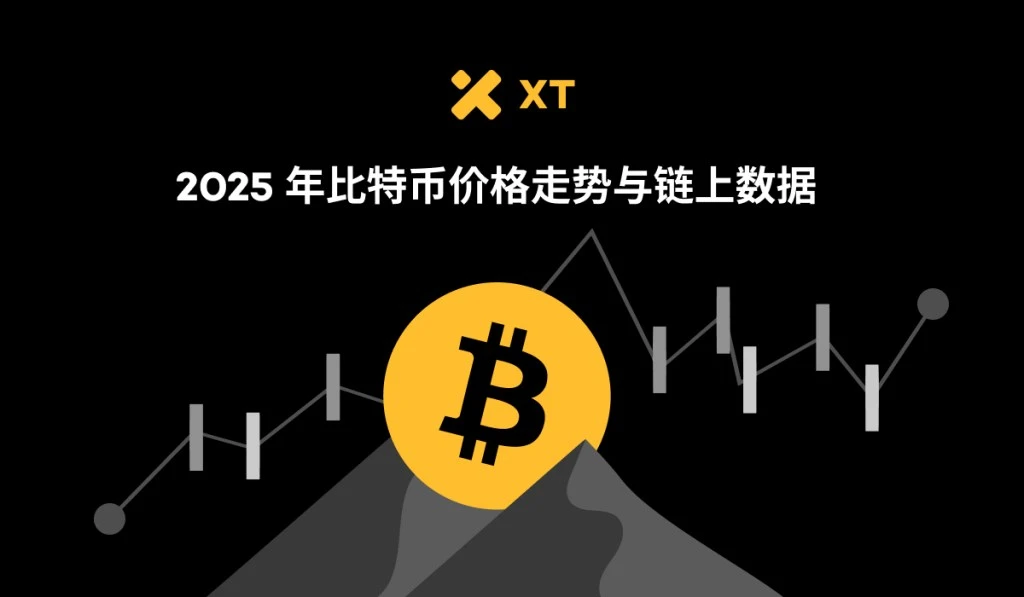 2025比特币牛市密码：链上供需、交易活跃度与质押回报揭秘