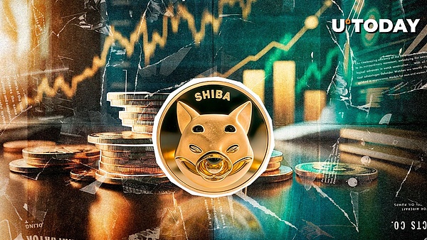 尽管价格下跌 78% 的柴犬 (SHIB) 持有者仍选择长期持有