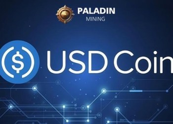 PaladinMining Reportedly Incorporates Instant Sub-minute, Real-time USD Coin Payment