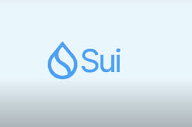 SUI 上涨10%，并突现 4000 万流入，拉盘还是砸盘前奏？