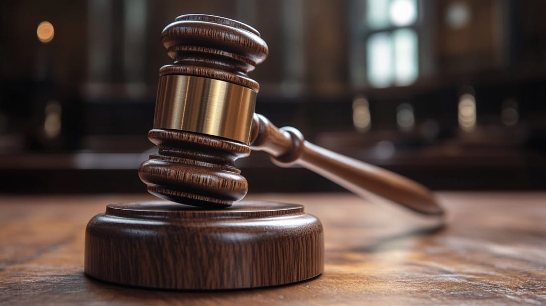 1740157399-julia_63915_a_judges_gavel_a56df4f1-9daf-4f07-9d85-5bd429275ec9_optimized.jpg