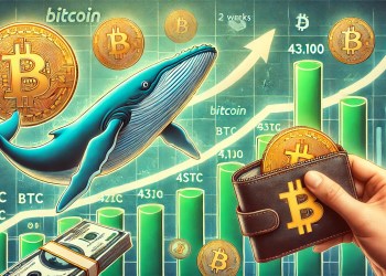 Whales Accumulate 43,100 Bitcoin In Two Weeks – Major Move Incoming?