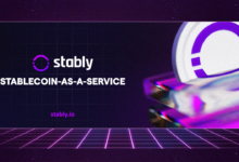 Stably Introduces Stablecoin Development & Advisory Services for Institutions & Enterprises
