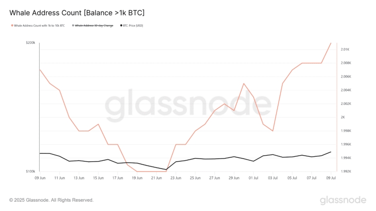 glassnode-studio_whale-address-count-balance-1k-btc-1-768x432.png