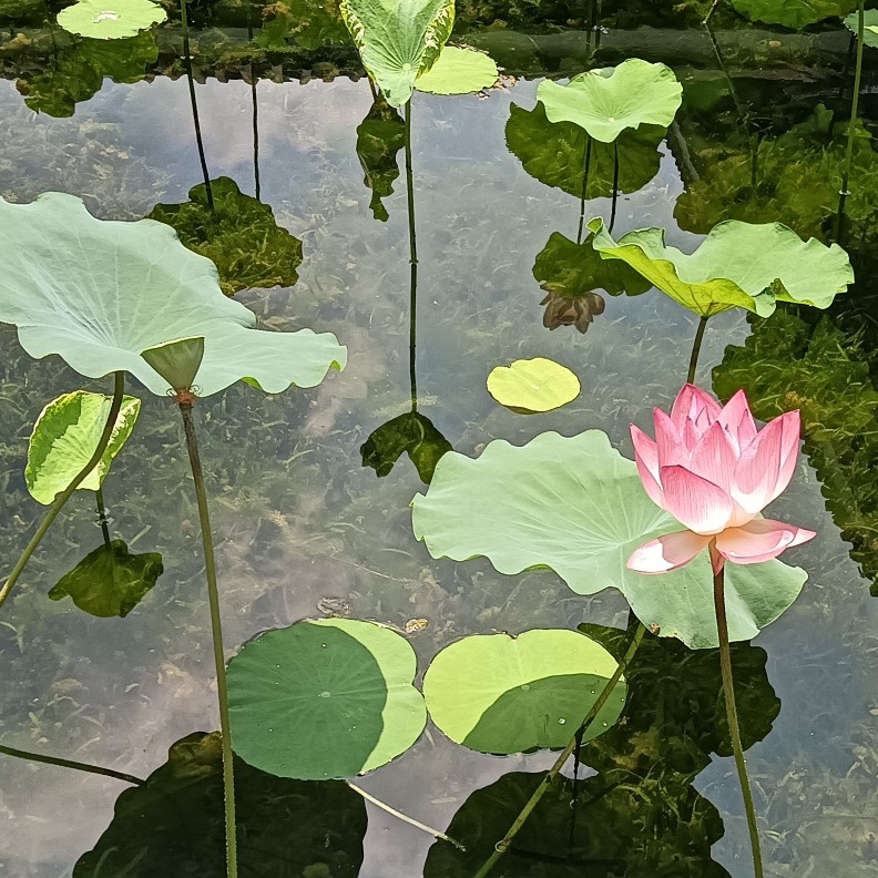 Picture of the author