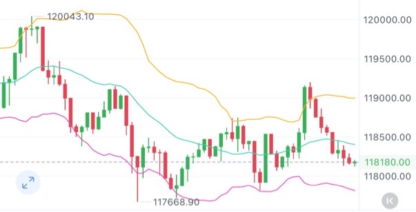 请检查网络连接