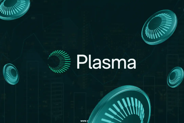 XPL公售遭大户疯抢,Plasma为何成为市场新宠?