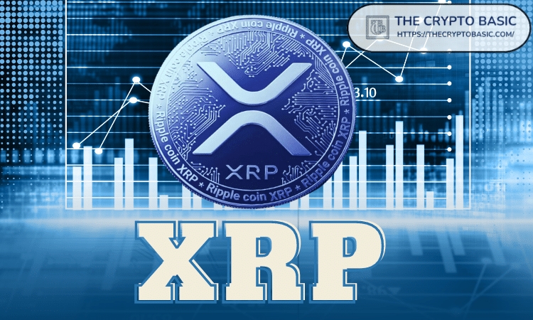 XRP-New1012101011101011011(1).png