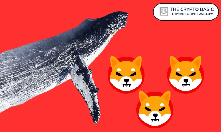 Whale-adds-311B-shiba-Inu.png