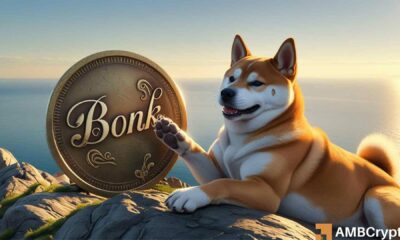 Burns, adoption, and how BONK’s price might hit new price levels soon
