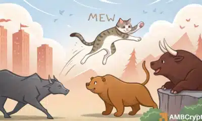 cat in a dogs world [MEW] risks pullback: All you need to know - ambcrypto