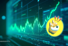 Is BONK Set for Further Gains After Soaring 25% in One Day?