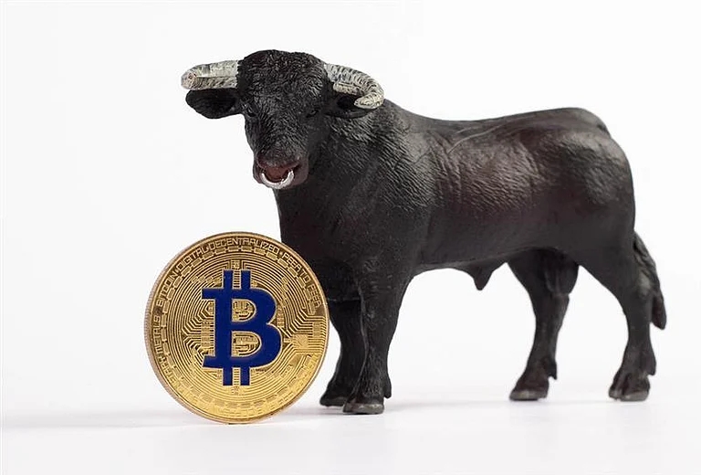 analyticsinsight_2025-07-20_brkk0inb_While-Bitcoin-Pulls-Back-the-Best-Meme-Coins-Are-Burning-Through-the-Charts-Like-Its-Bull-Season.webp