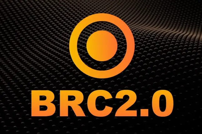 Best in Slot：BRC2.0常见问题解答