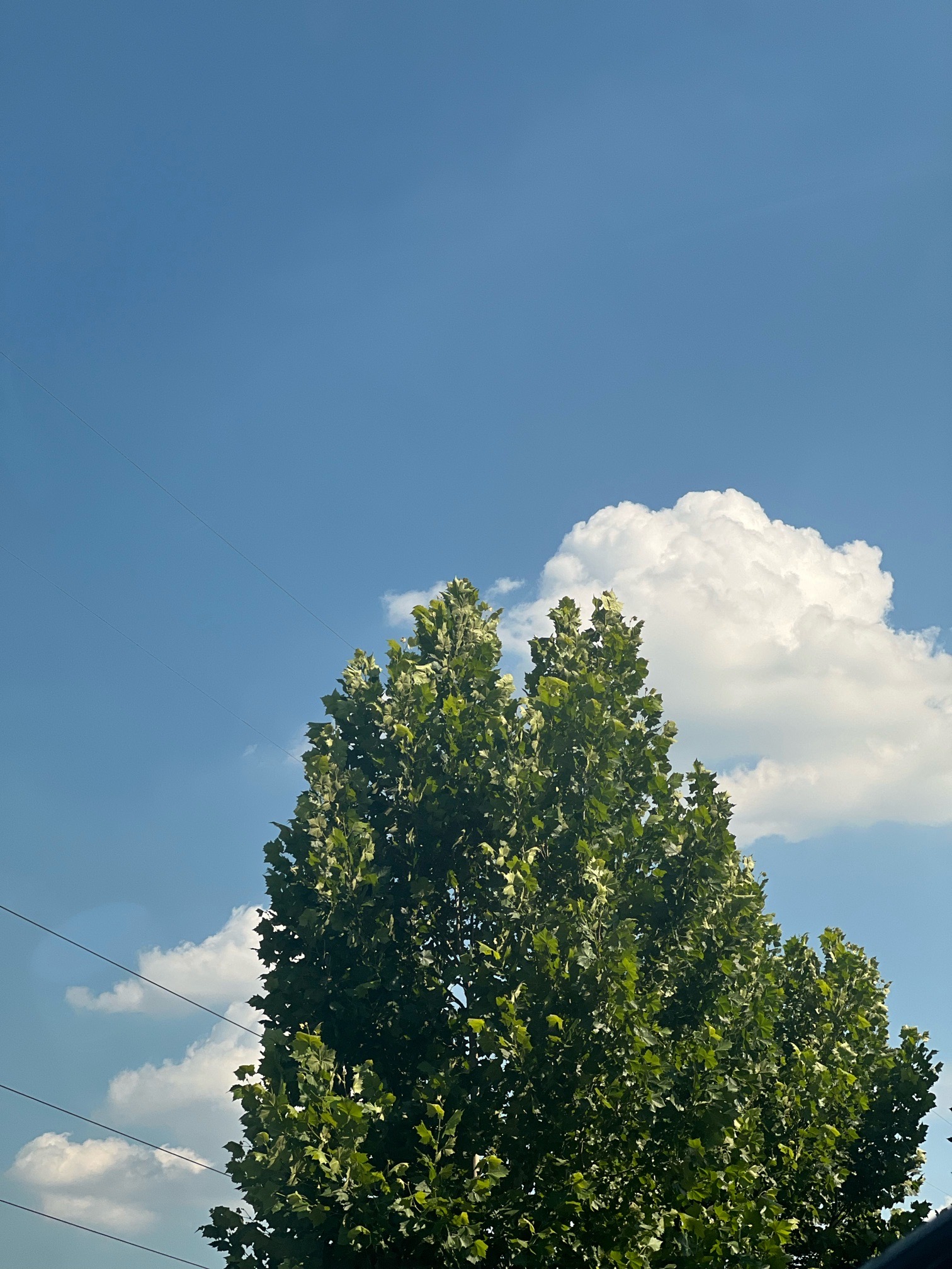 请检查网络连接