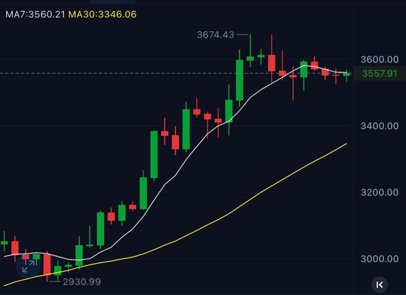 请检查网络连接