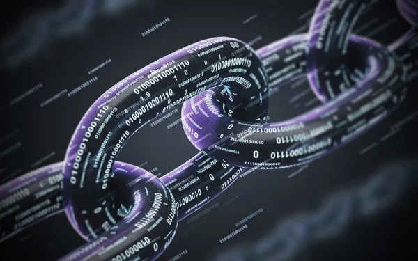 为何 Web2.5 项目更受机构青睐？