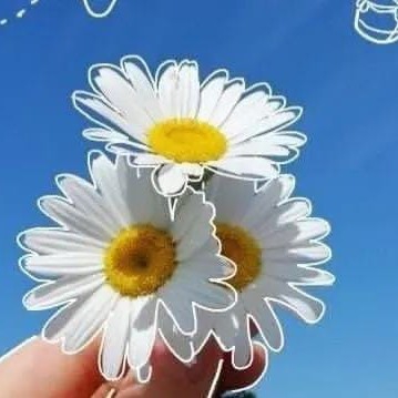 Picture of the author