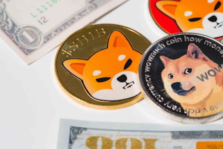 DOGE-or-SHIB-We-asked-ChatGPT-which-crypto-is-a-better-buy-for-2025-H2-768x512.jpg