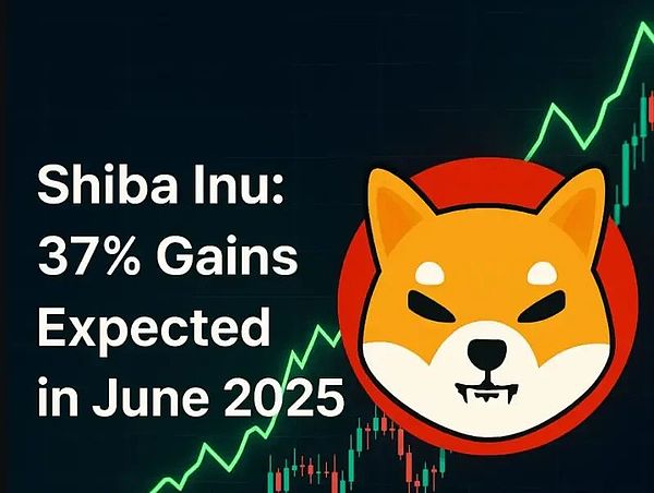 SHIB狂飙在即   鲸鱼交易量激增61%   2025年6月价格有望飙升37%