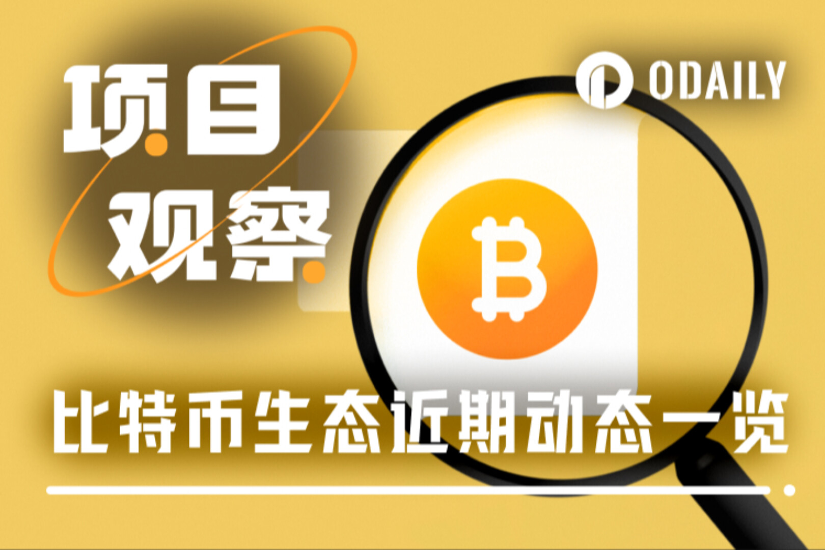 百花齐放,速览比特币生态近期热点项目进展