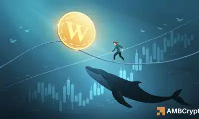 dogwifhat [WIF] whales scoop $0.76 lows – But THIS metric shows risk! - ambcrypto