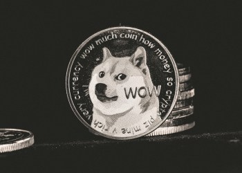 Dogecoin Spot ETF: Grayscale Files S-1 Form – Details
