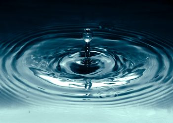 Ripple CTO Jumps Into The Fray After Caitlin Long Bashes XRP With Centralization Claims