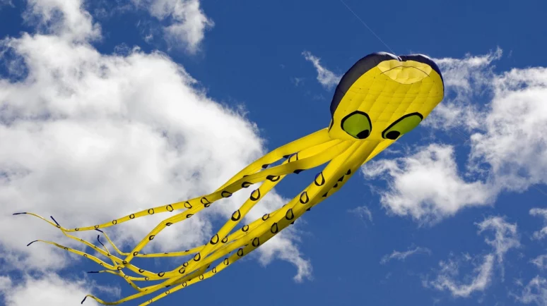 Kraken Bypasses Banks with PayPal-Enabled USD Deposits Following $1M Test Surge